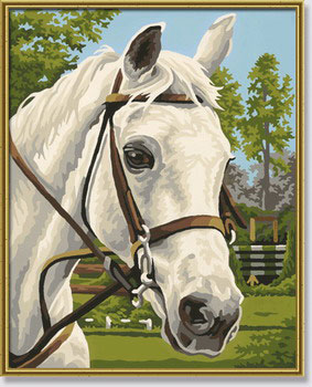 Белая лошадь Раскраска по номерам, 24 см х 30 см Серия: Kids инфо 9226d.