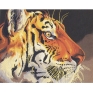 Раскраска по номерам "Тигр", 36 см x 28 см Эскиз картины, 12 красок, кисть инфо 9230d.
