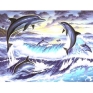 Раскраска по номерам "Дельфины", акриловыми красками, 39 см х 30 см раскрашивания, 12 акриловых красок, кисть инфо 1199e.
