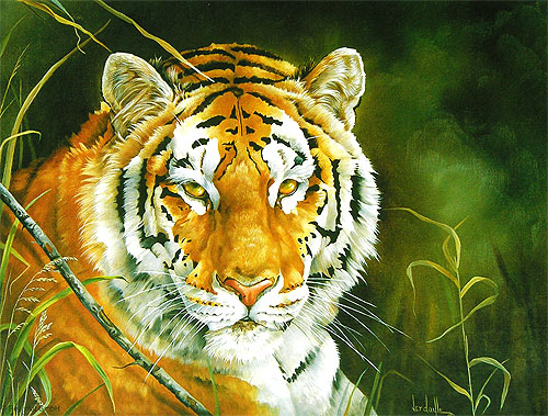 Тигр Пазл, 2000 элементов Серия: Animal collection инфо 1623e.